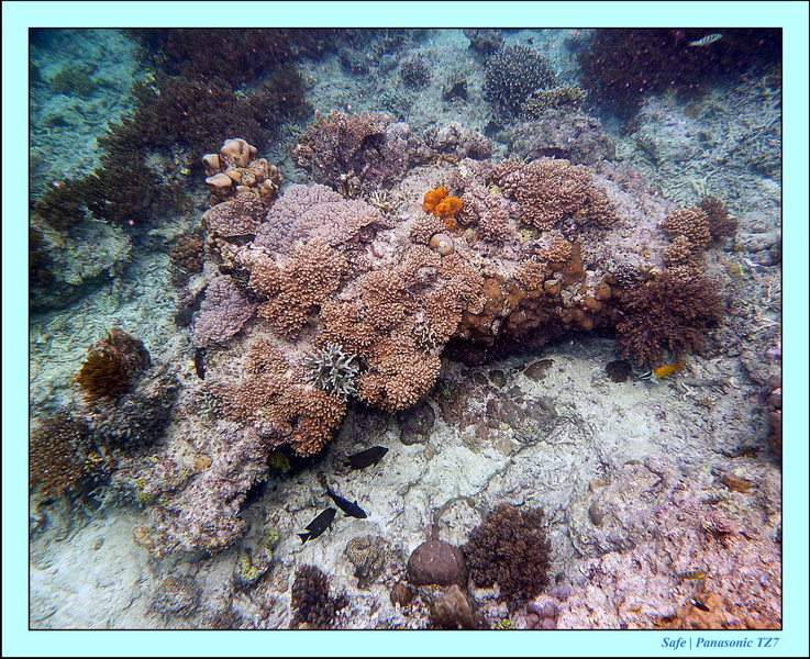 2011 - 08 - Borneo - Mataking 06